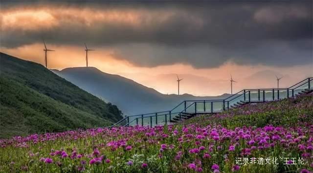 寻美毕节：韭菜花开，紫色梦境的浪漫邀约