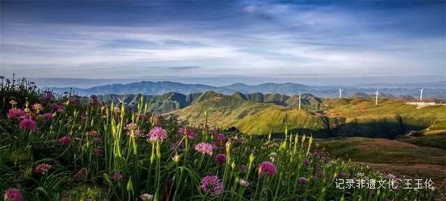 寻美毕节：韭菜花开，紫色梦境的浪漫邀约