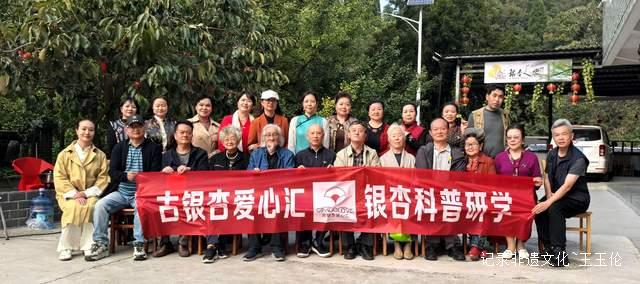 贵州白云牛场石龙村：探秘千年古银杏，领略民族文化之美